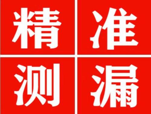 巴青尚嘉漏水精准查找